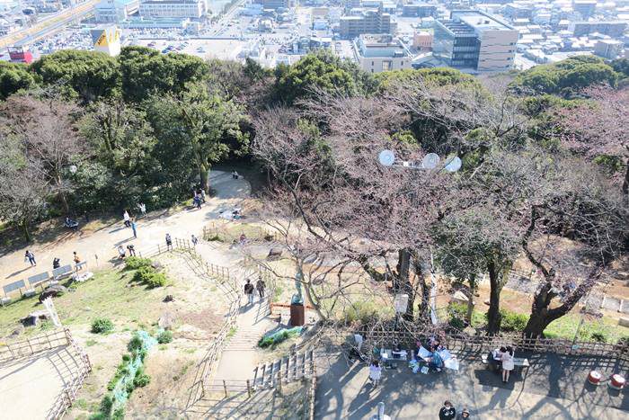 小牧山さくらまつりに行って桜を見てきたよ まゆゆんのヘルシーブログ